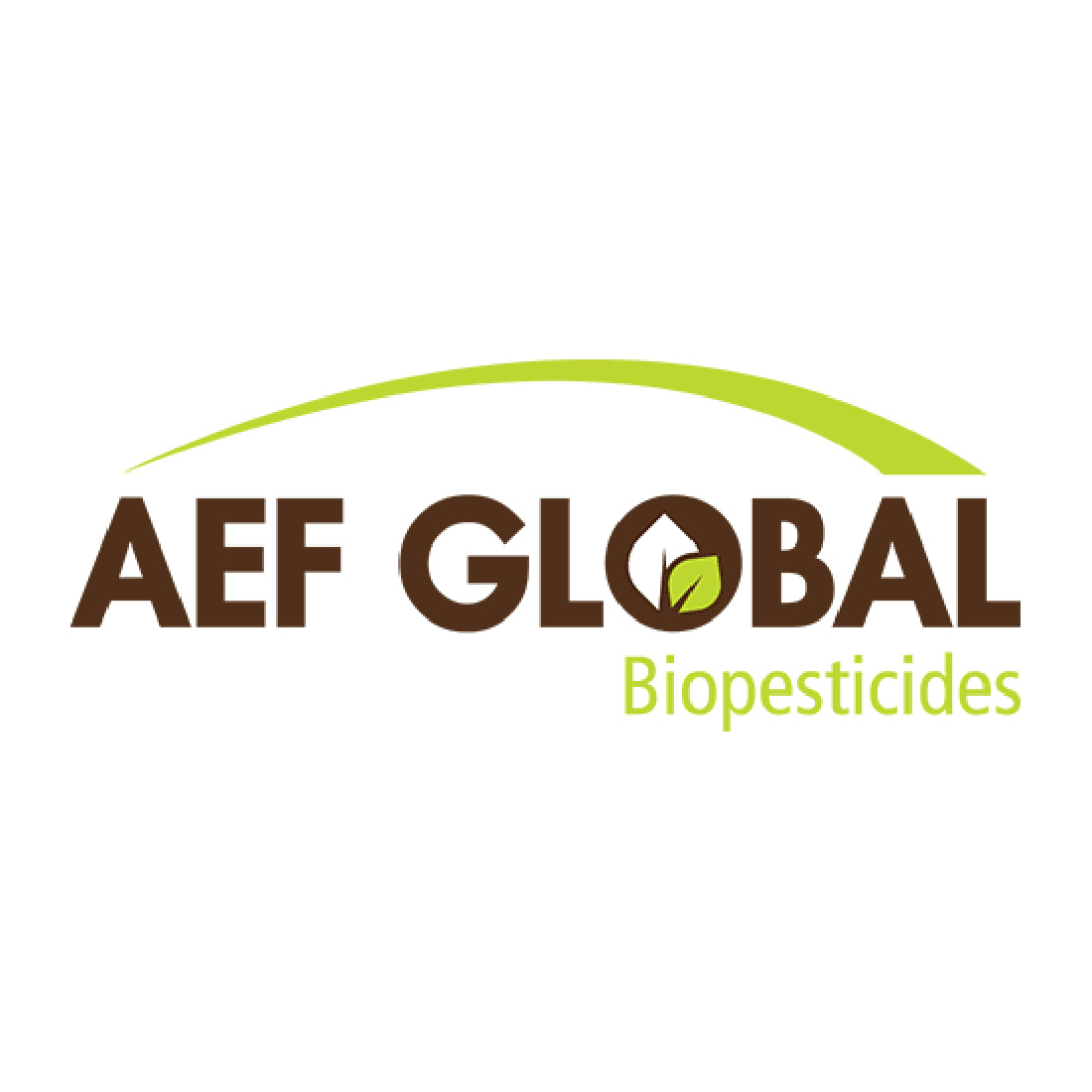 AEF Global