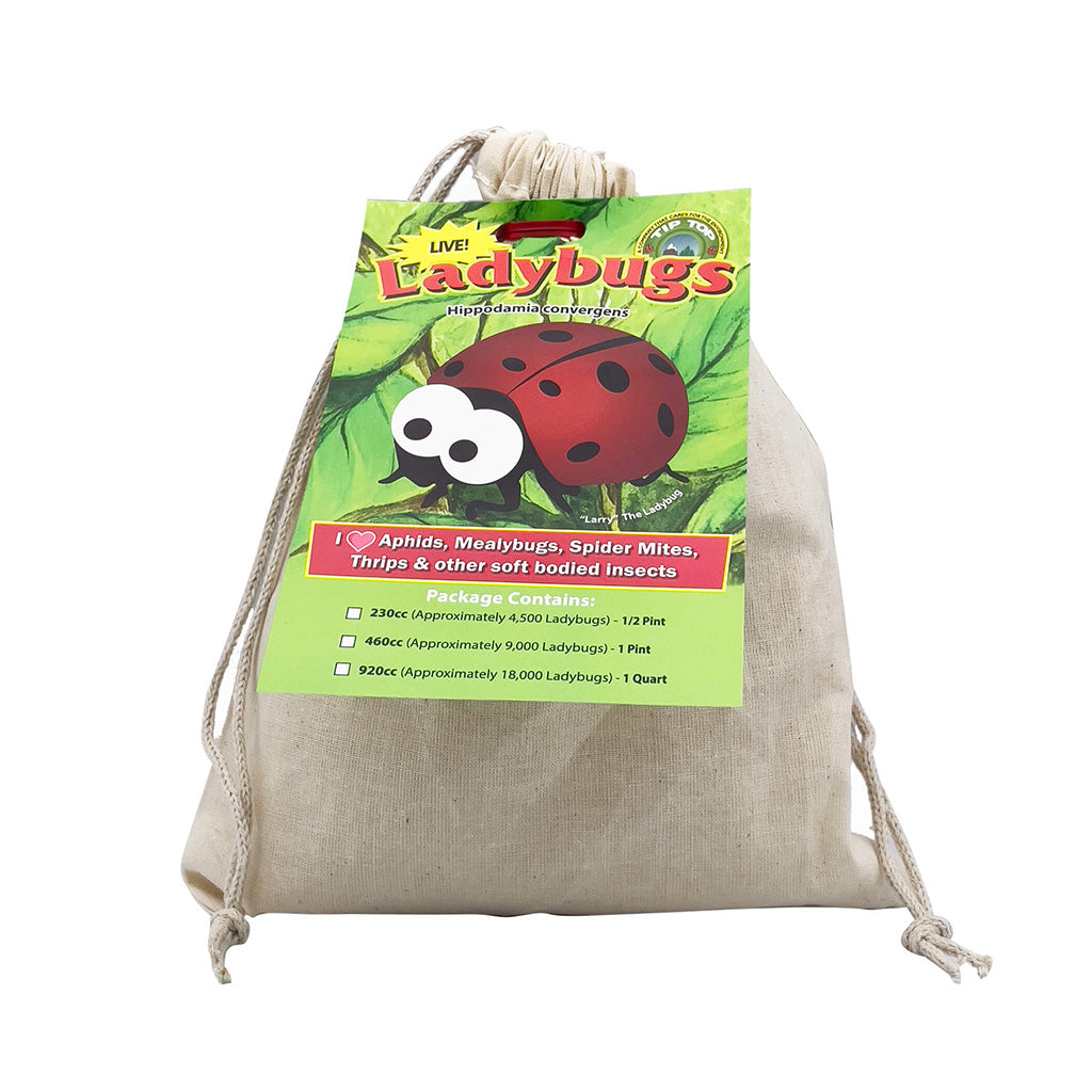 Beneficial Insects