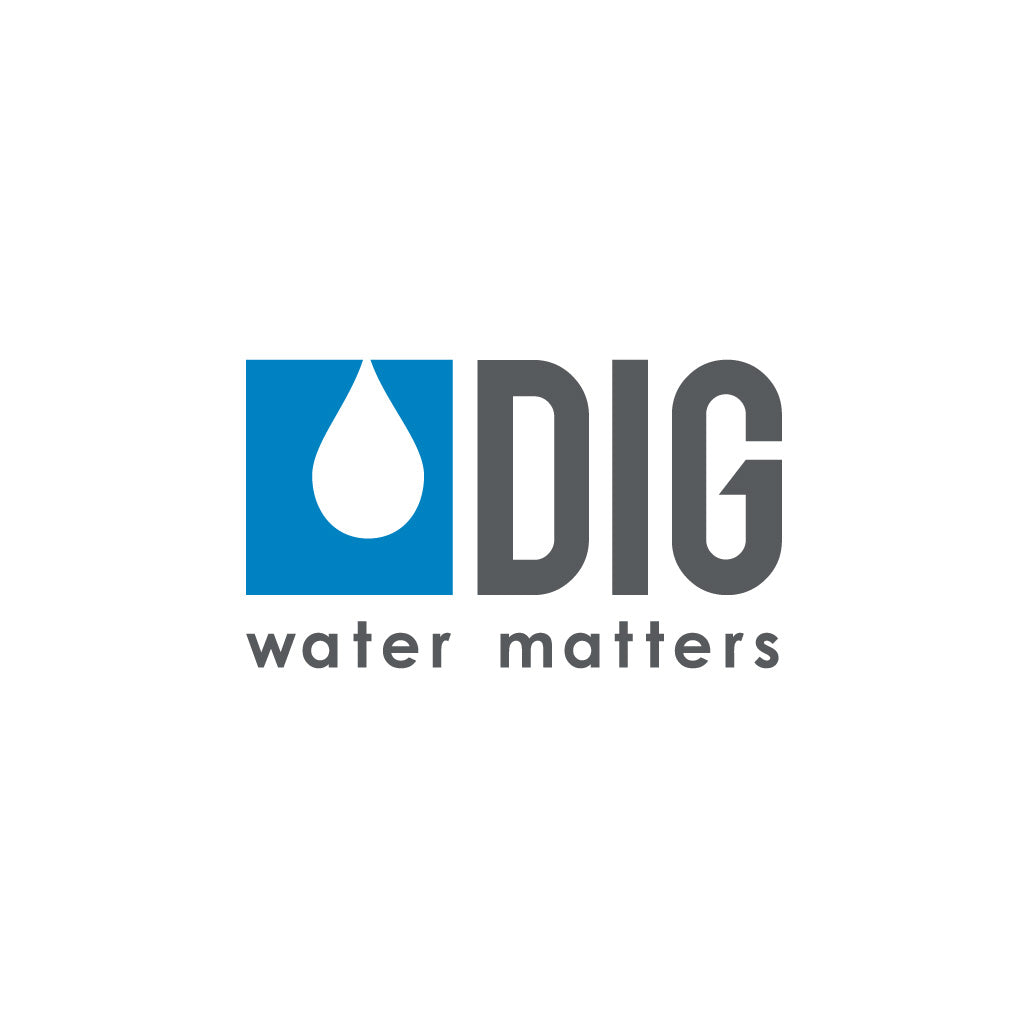 DIG