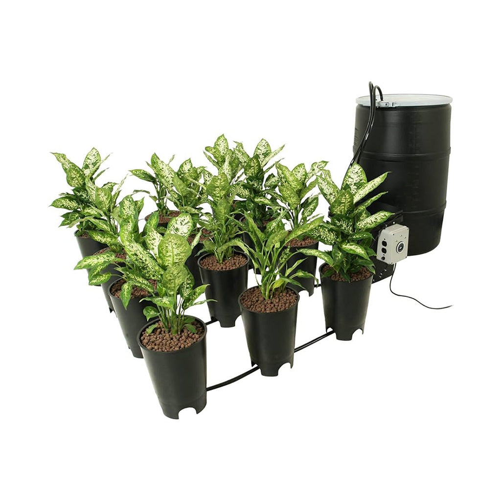 Ebb and Flow Hydroponic Systems