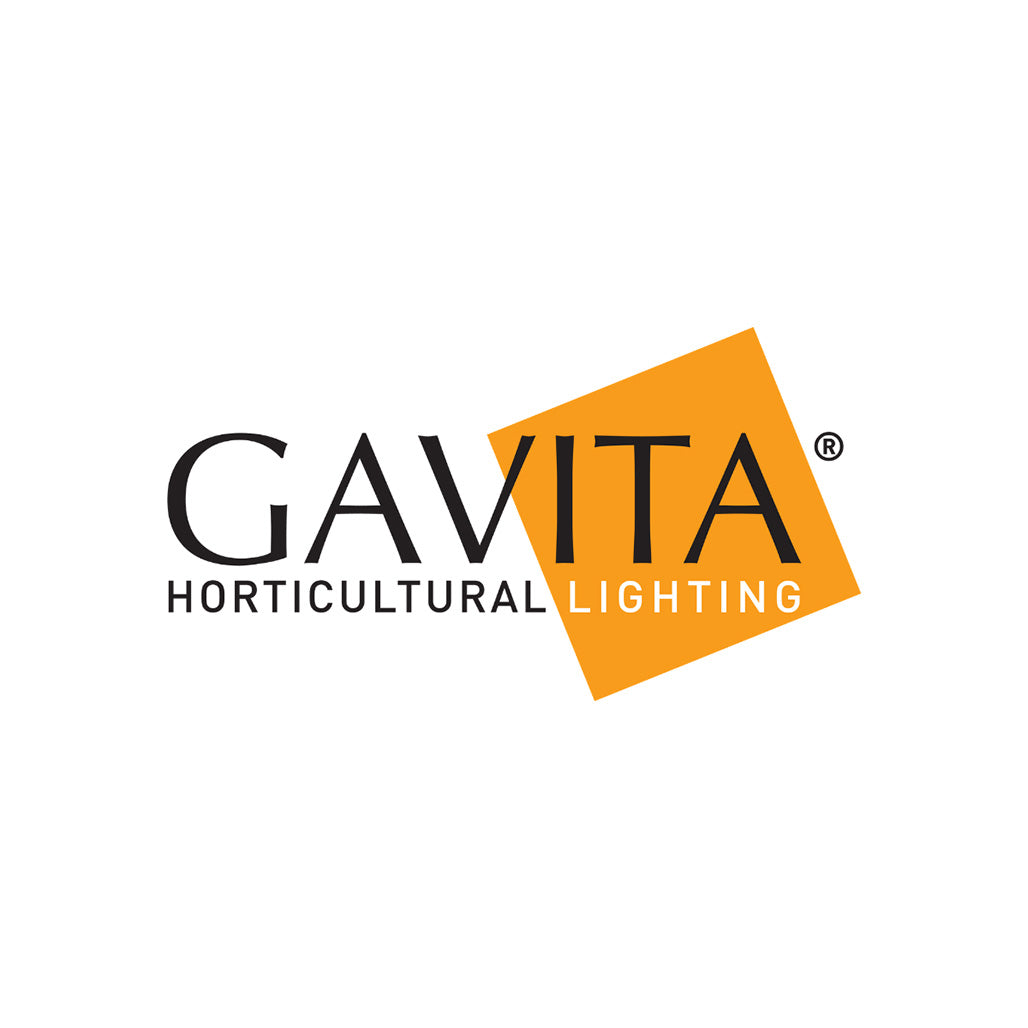 Gavita
