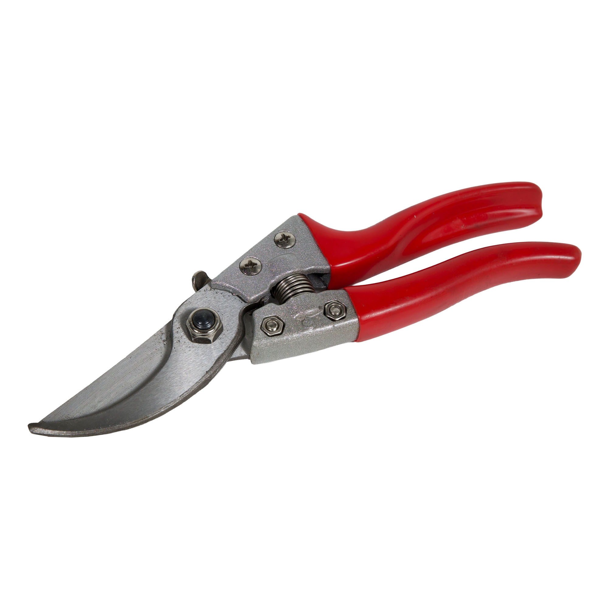 The Best Time to Use a Bypass Pruner