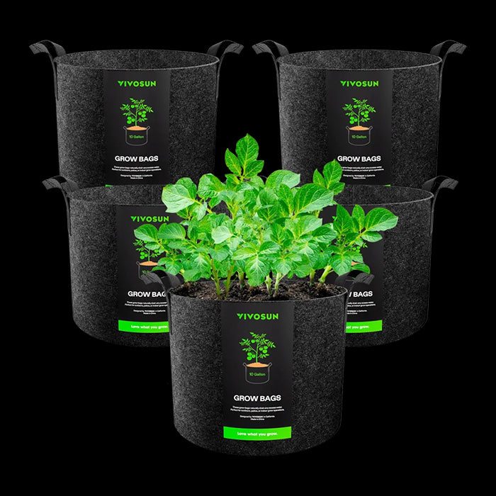 Vivosun Thick Nonwoven Fabric Pot with Handles, 10 Gallon, Pack of 5