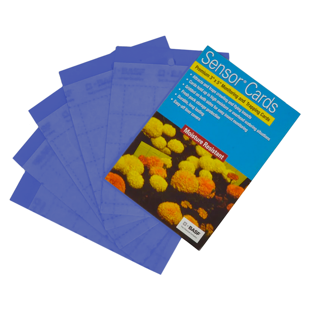 BASF Sensor Cards Blue Monitoring and Trapping Cards - Pack of 50.