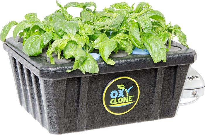 cloning plants hydroponic oxyCLONE Cloning System