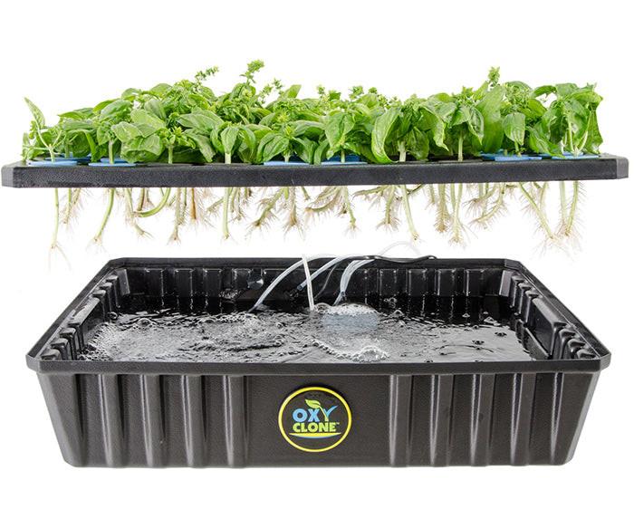 oxyCLONE Cloning System - 20, 40 & 80 Sites