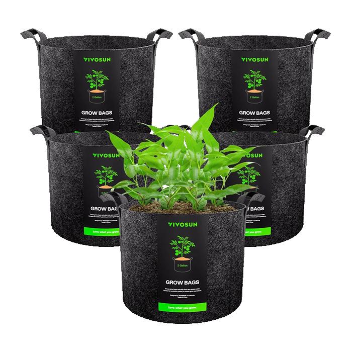Vivosun Thick Nonwoven Fabric Pot with Handles, 2 Gallon, Pack of 5