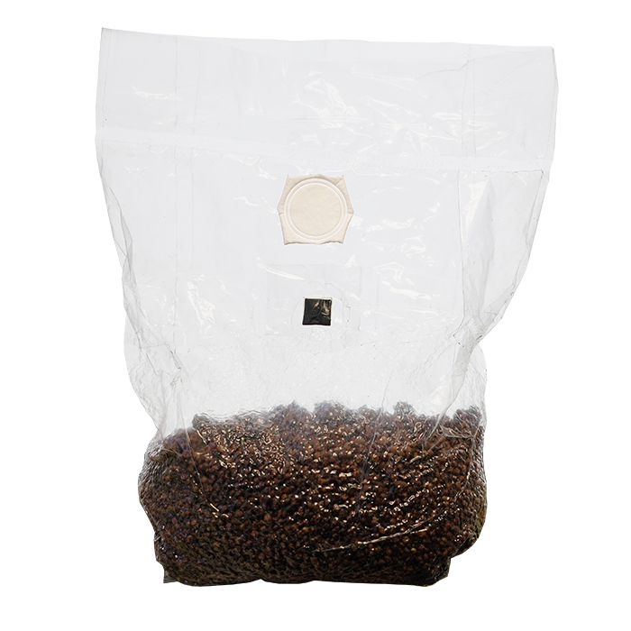 DL Wholesale SuperSpore Mushroom Grain Spawn Bag, 4 lbs