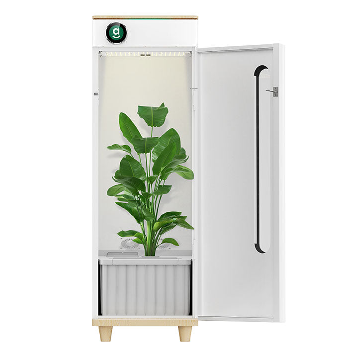 Hey Abby Automated Grow Box
