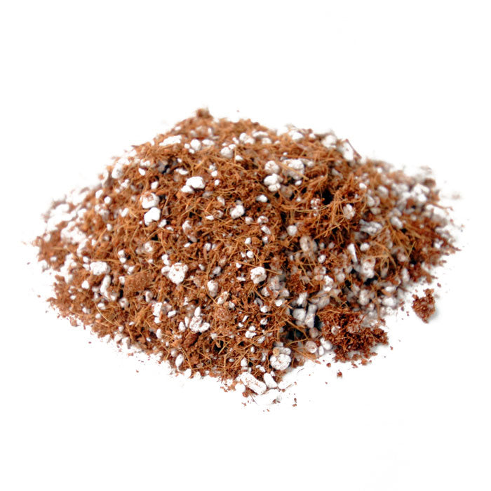 Root Royale Cocolite 70/30 Coco Coir & Perlite - RHP Certified, 50 Liter - Pallet of 40 Bags