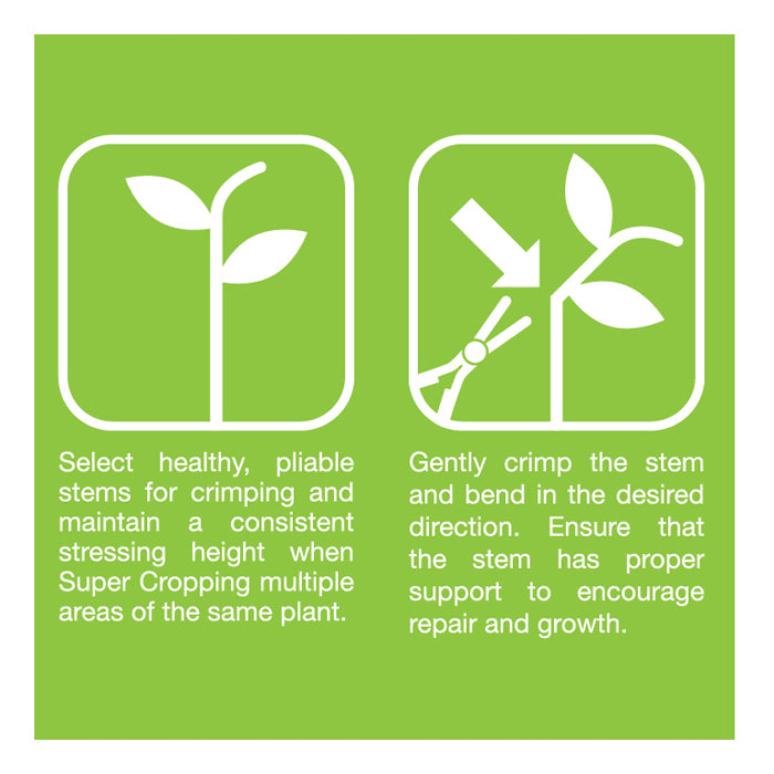 Grow1 Super Cropping Tool - Red