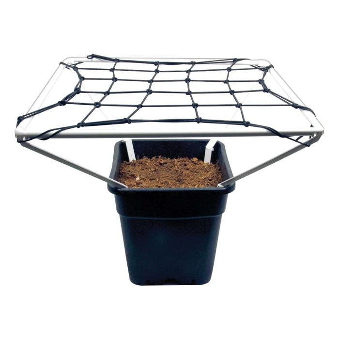 Free Combination 3-Head Cooker