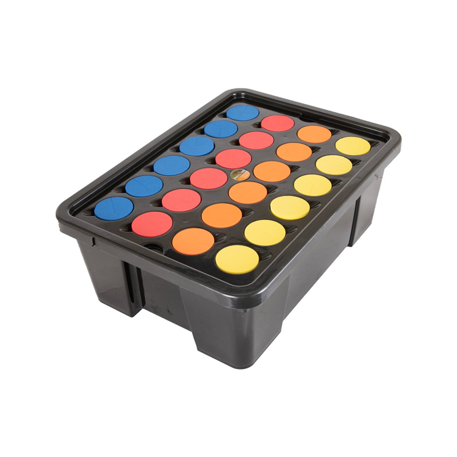 Psycloner 24 Site Cloning System