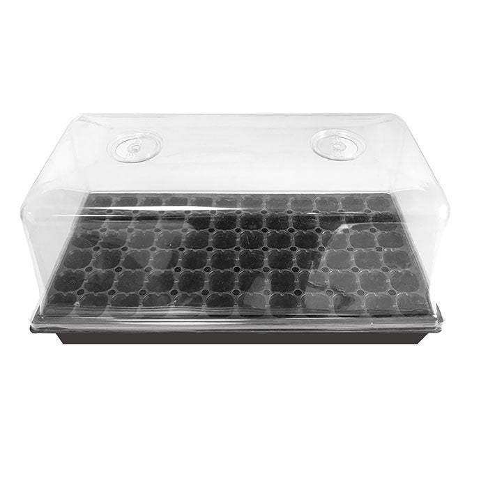 HBX 50 Site Seedling Starter Kit with Root Plugs