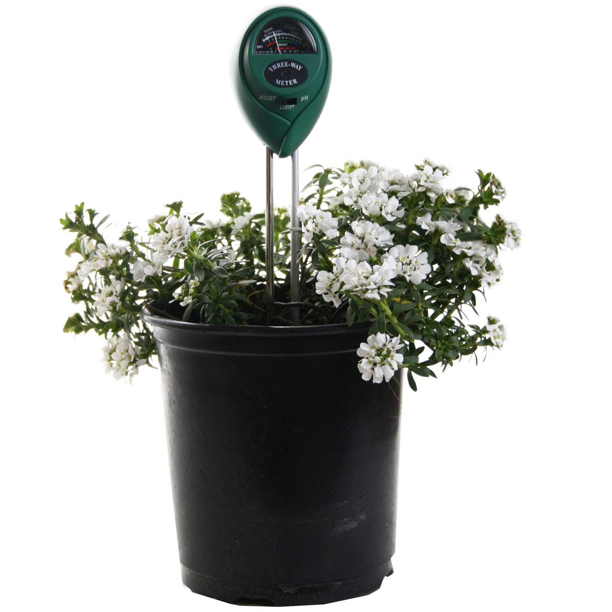 Active Air 3 - Way Meter