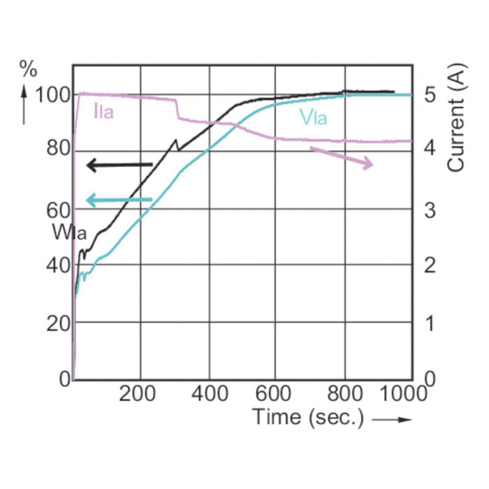 Philips 1000 Watt HORTI MASTER GreenPower Plus Double-Ended HPS EL Bulb, 2000 K, Pack of 6