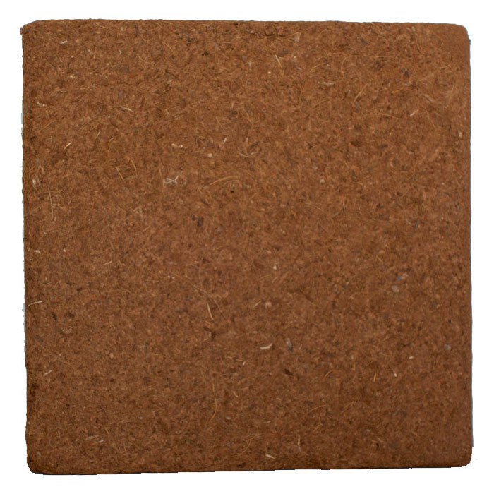 The Coco Depot Unwrapped Pure Coco Orgainic Compressed Coco Block, 5 kg - Pallet of 200 Blocks