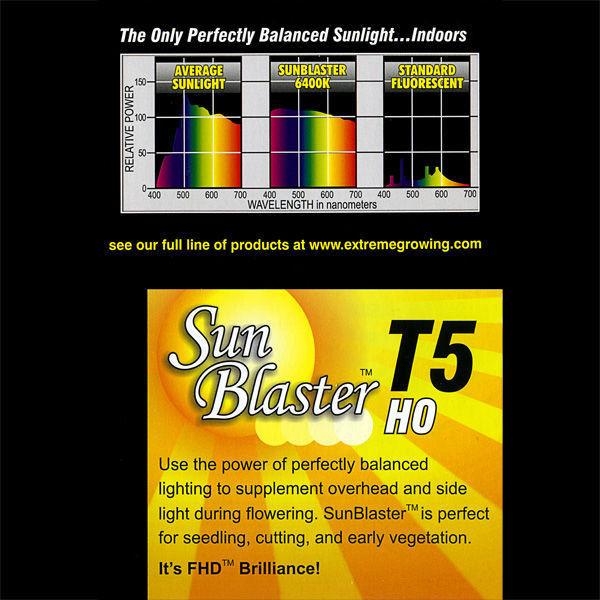 SunBlaster T5 HO 21 - 2 ft, 1 Bulb - 6400K