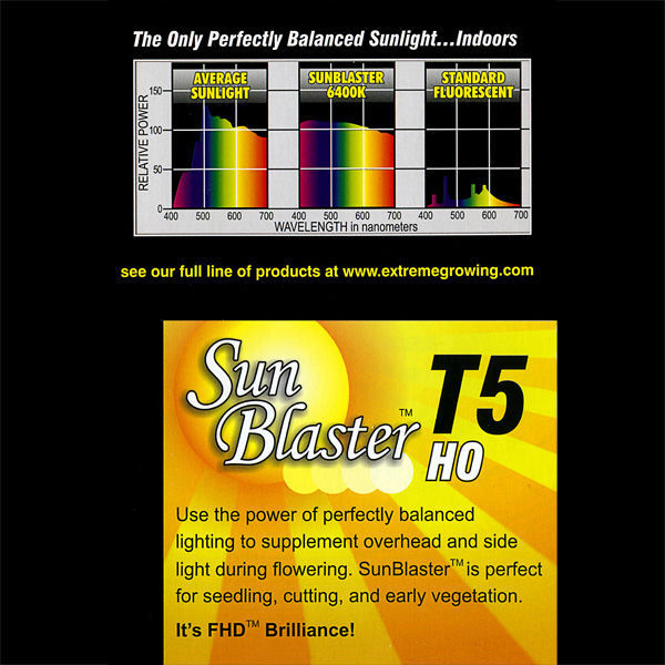 SunBlaster T5 HO 31 - 3 ft, 1 Bulb - 6400K