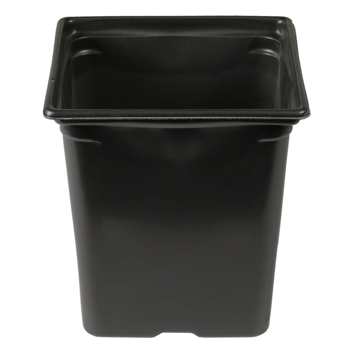 DL Wholesale Half Quart Square Pot, 3.25 Inch x 3.25 Inch x 3.5 Inch, Pack of 1,200