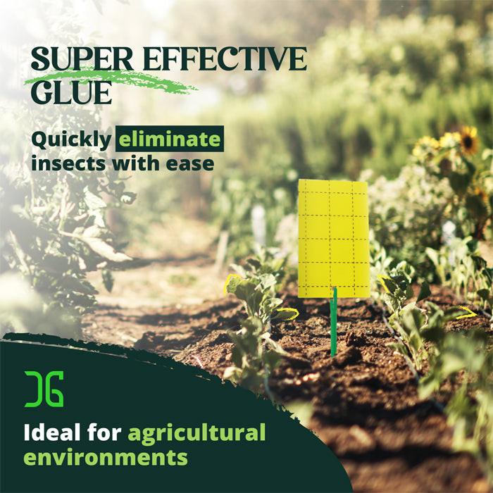 CatchMaster 3" x 5" Double-Sided Yellow Sticky Card Insect Trap, Pack of 72.
