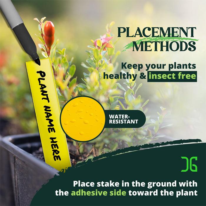 CatchMaster Dual Action Plant Label Sticky Trap, Pack of 400.