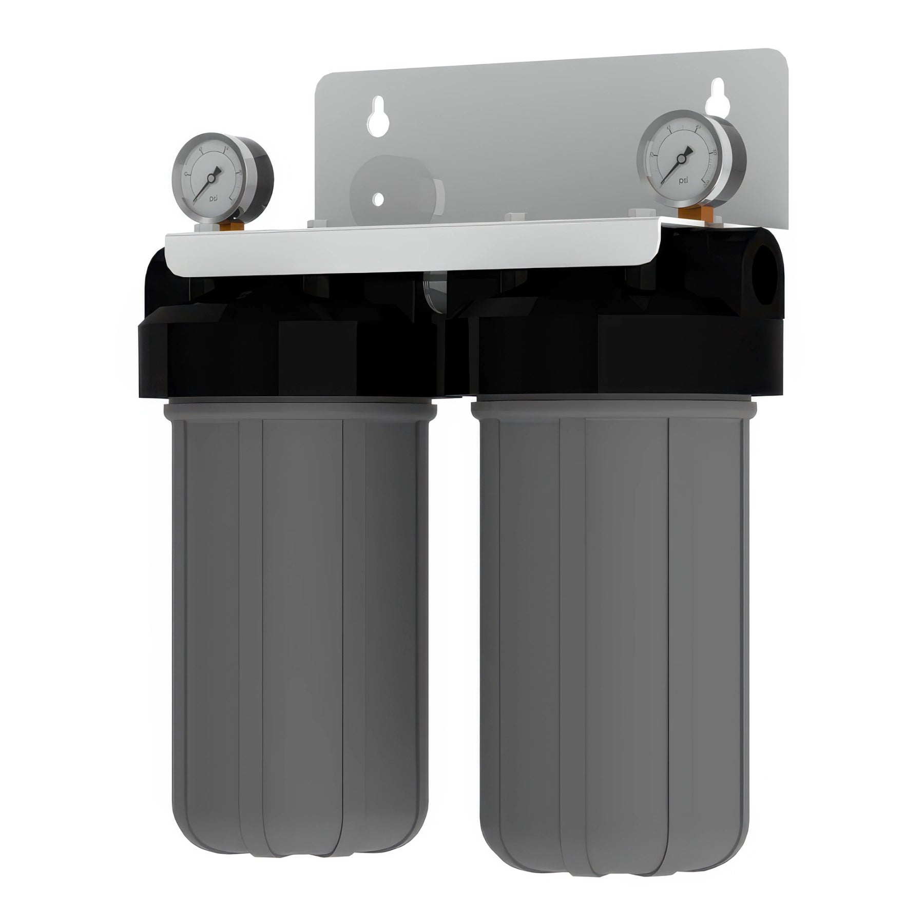 AXEON FSD-210 Double Stage Cartridge Filter System