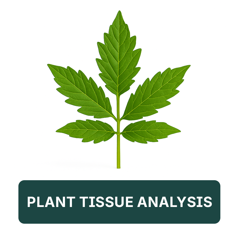Arvum Plant Tissue Analysis