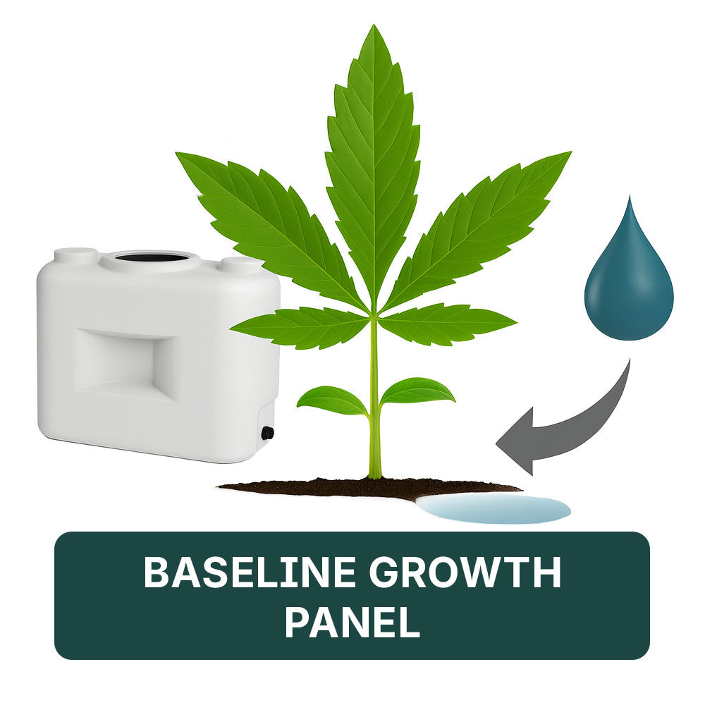 Arvum Baseline Growth Panel