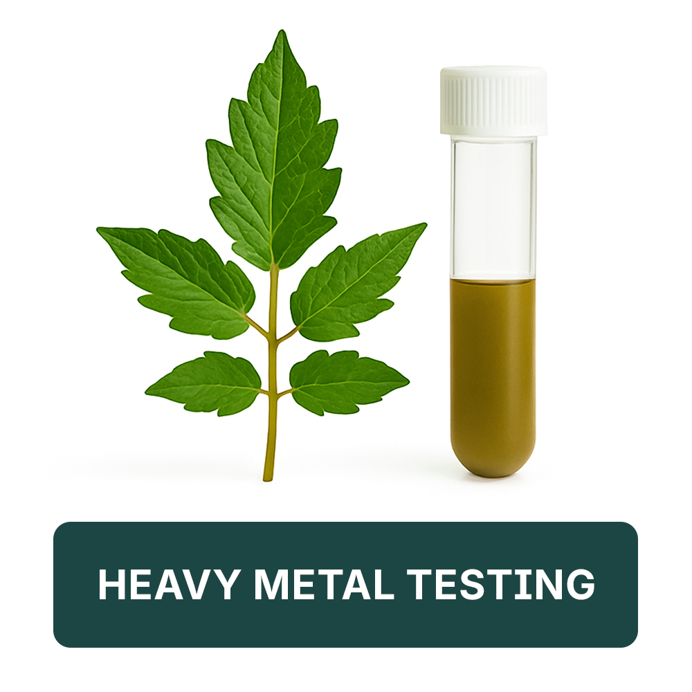 Arvum Heavy Metal Testing