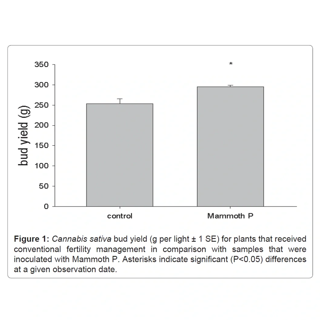Mammoth P Active Microbials.
