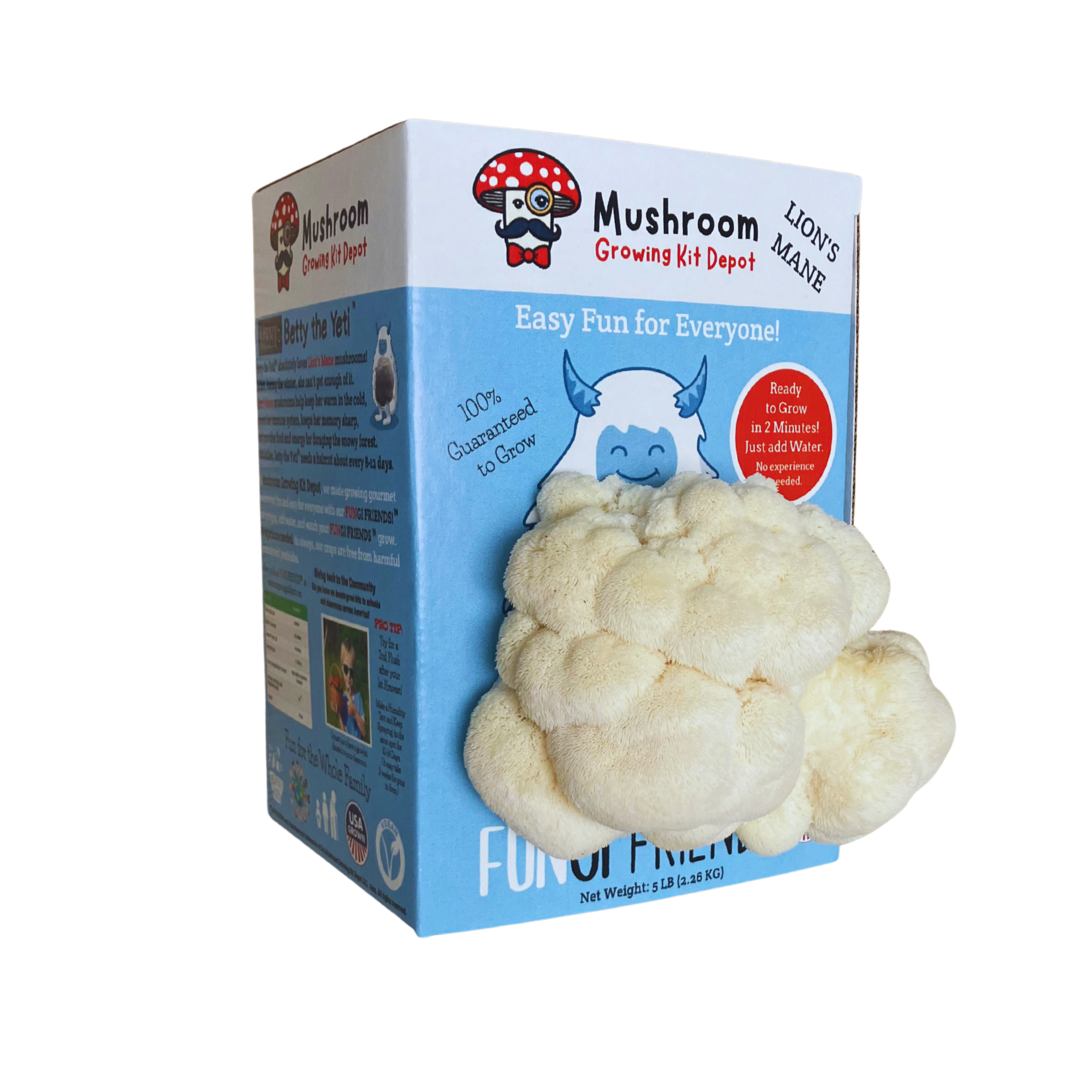 Betty the Yeti - Lion's Mane Mushroom Grow Kit - 5 LBS (with box).