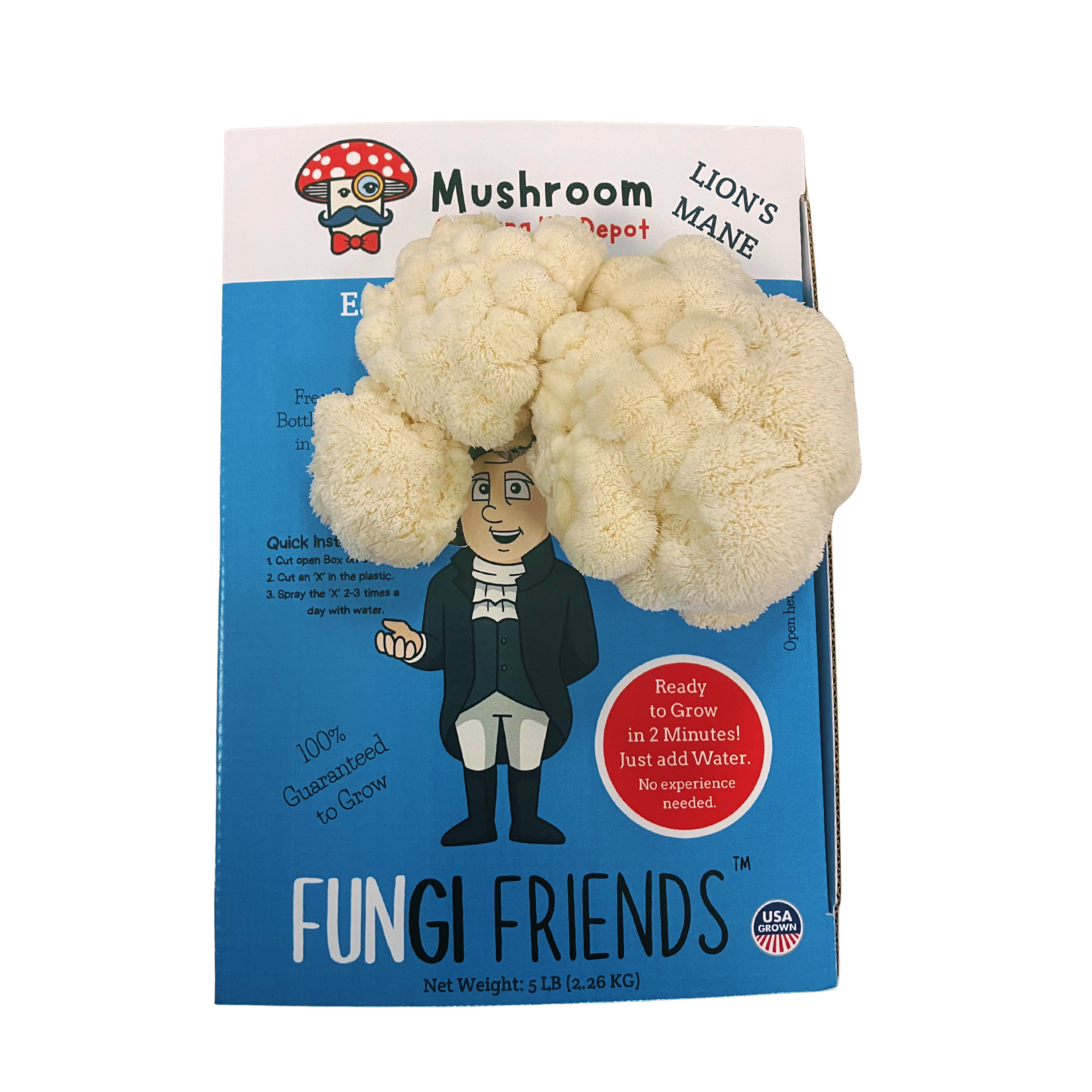 George Mushington - Lion's Mane Mushroom Grow Kit - 5 LBS (with box).