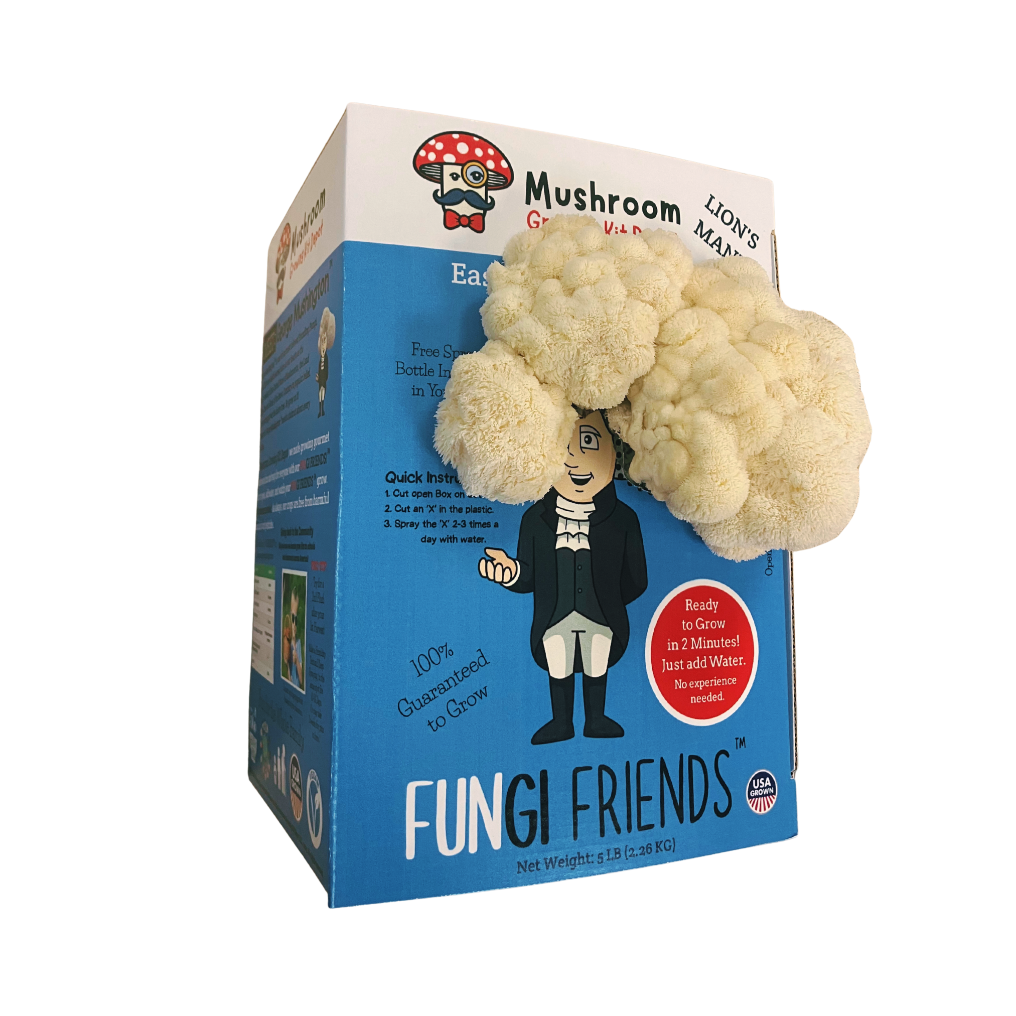 George Mushington - Lion's Mane Mushroom Grow Kit - 5 LBS (with box).