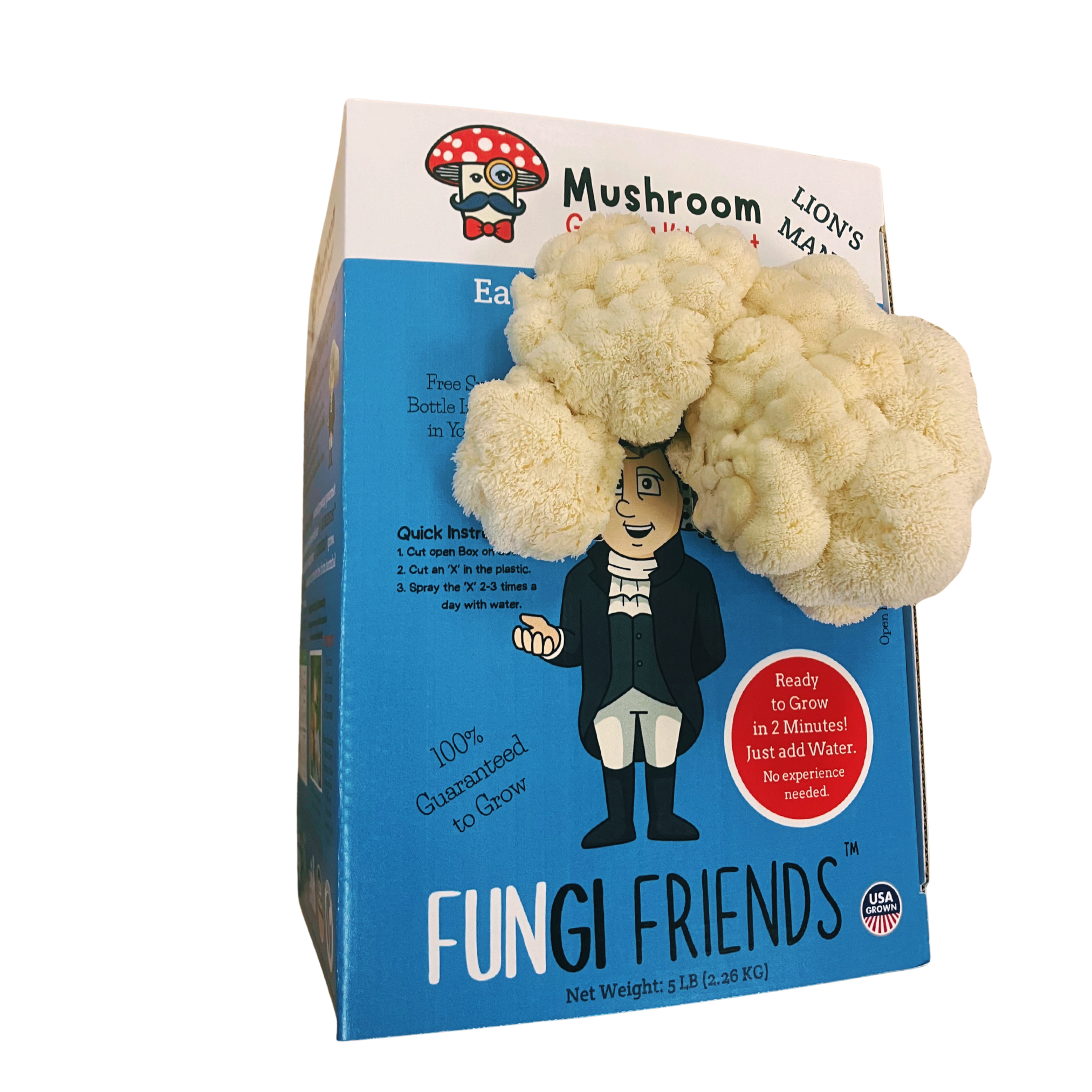 George Mushington - Lion's Mane Mushroom Grow Kit - 5 LBS (with box).
