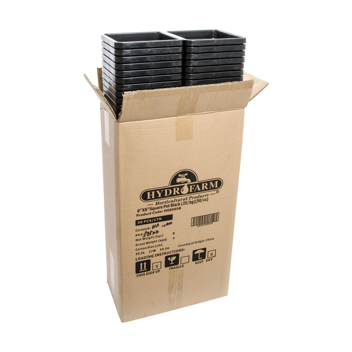 Active Aqua 6" x 6" Square Black Pot, 8" Tall, Case of 50