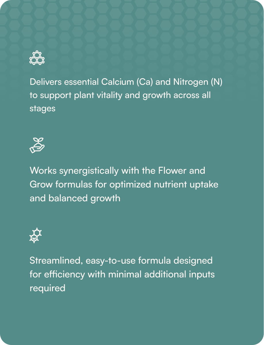 HGV Dry - Base, 25 lbs.