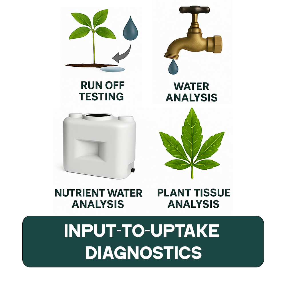 Arvum Input-to-Uptake Diagnostics