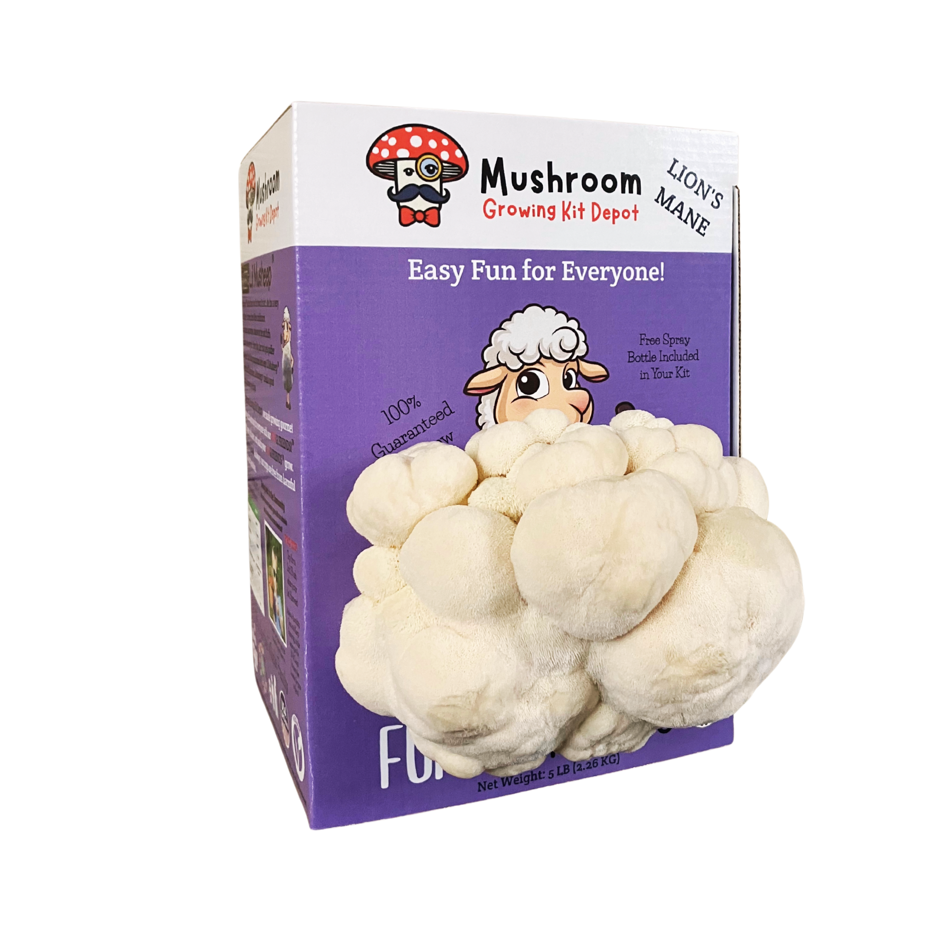 Lil Musheep - Lion's Mane Mushroom Grow Kit - 5 LBS (with box).