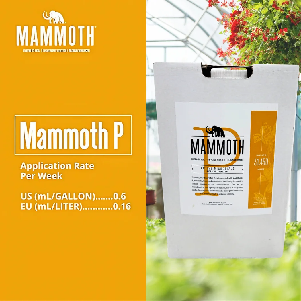 Mammoth P Active Microbials.