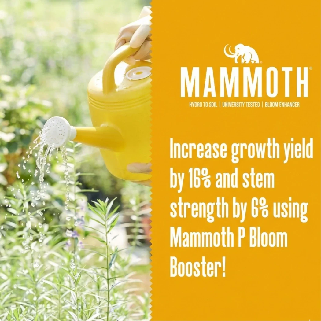Mammoth P Active Microbials.