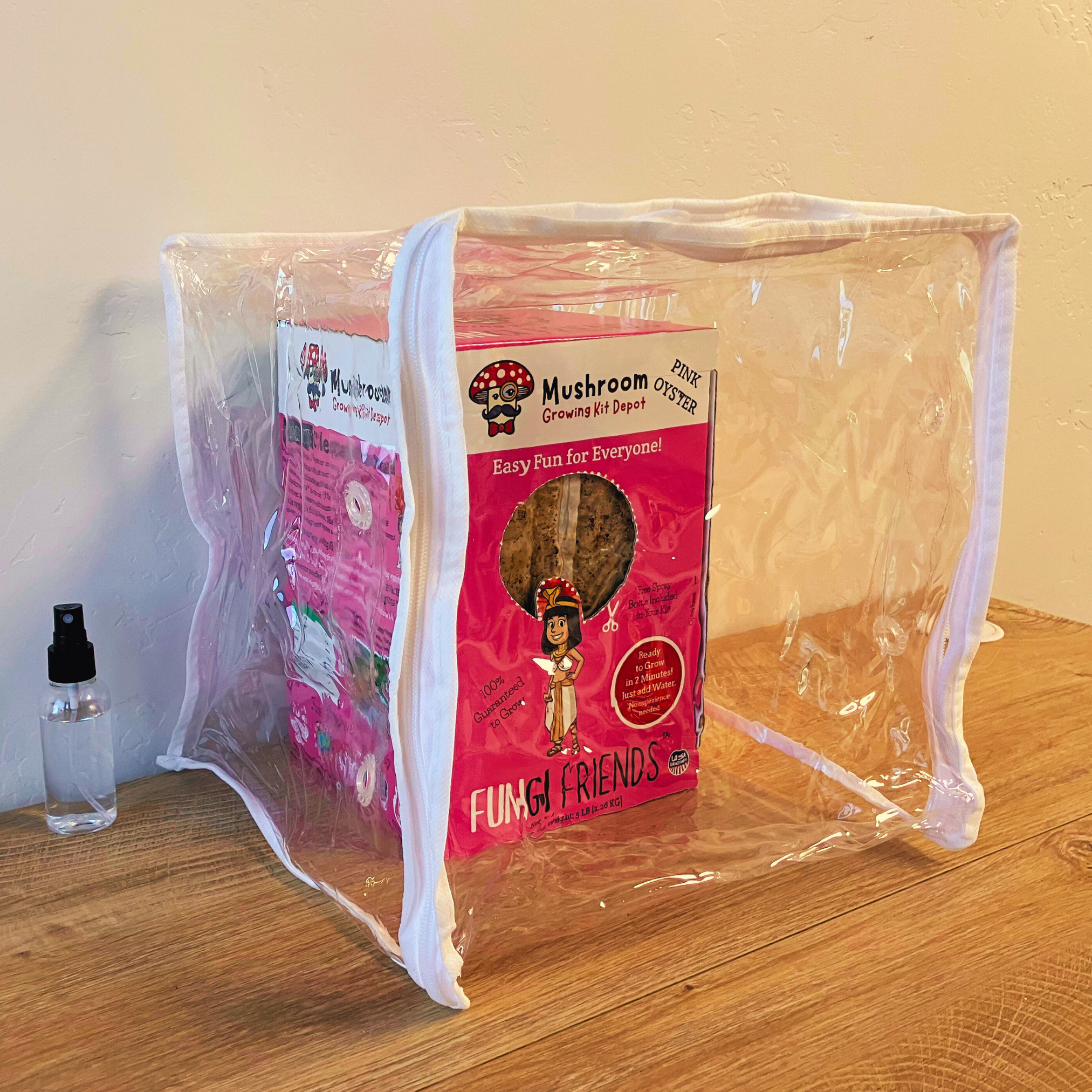 Cleopashrooma - Pink Oyster Mushroom Grow Kit - 5 LBS (with box).