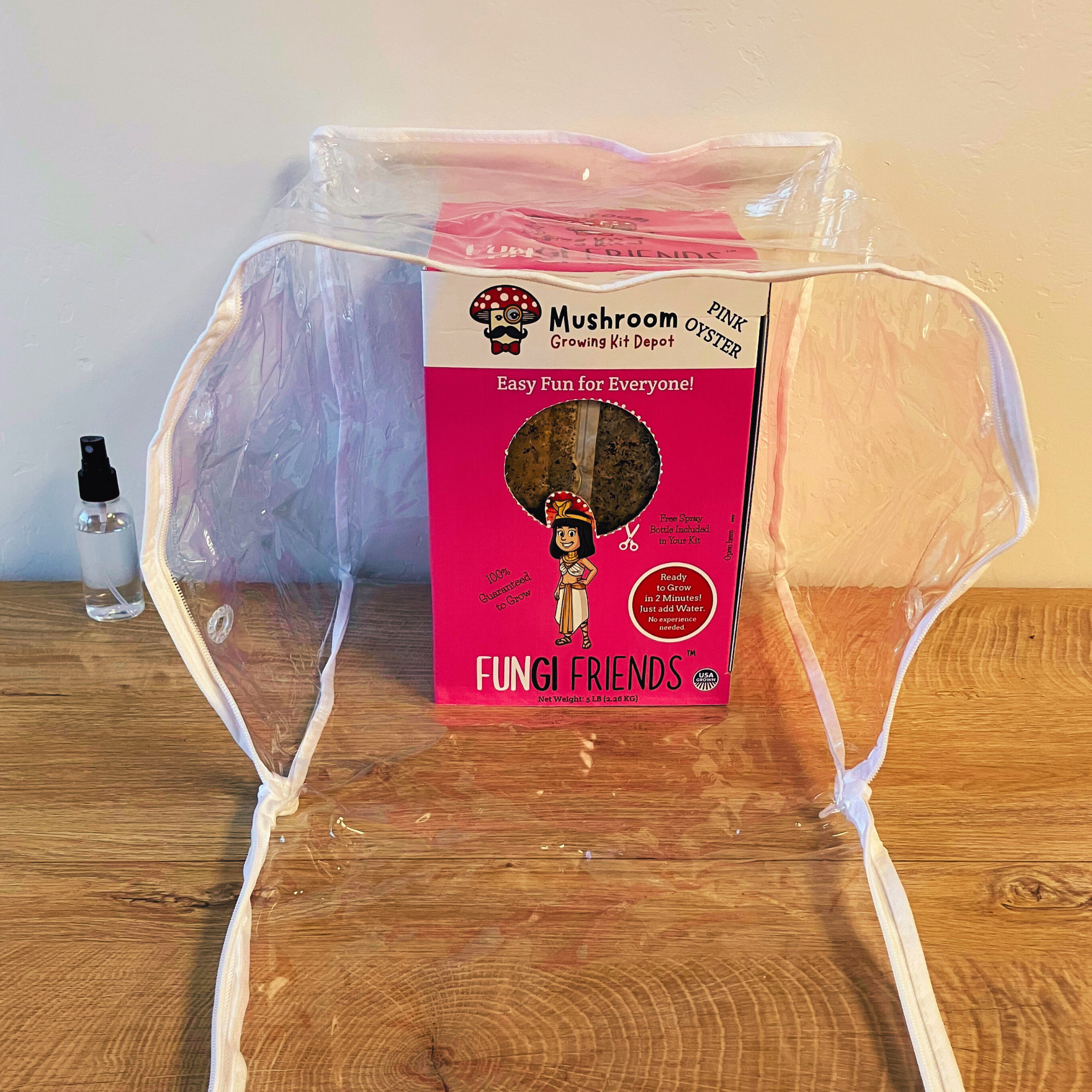 Cleopashrooma - Pink Oyster Mushroom Grow Kit - 5 LBS (with box).