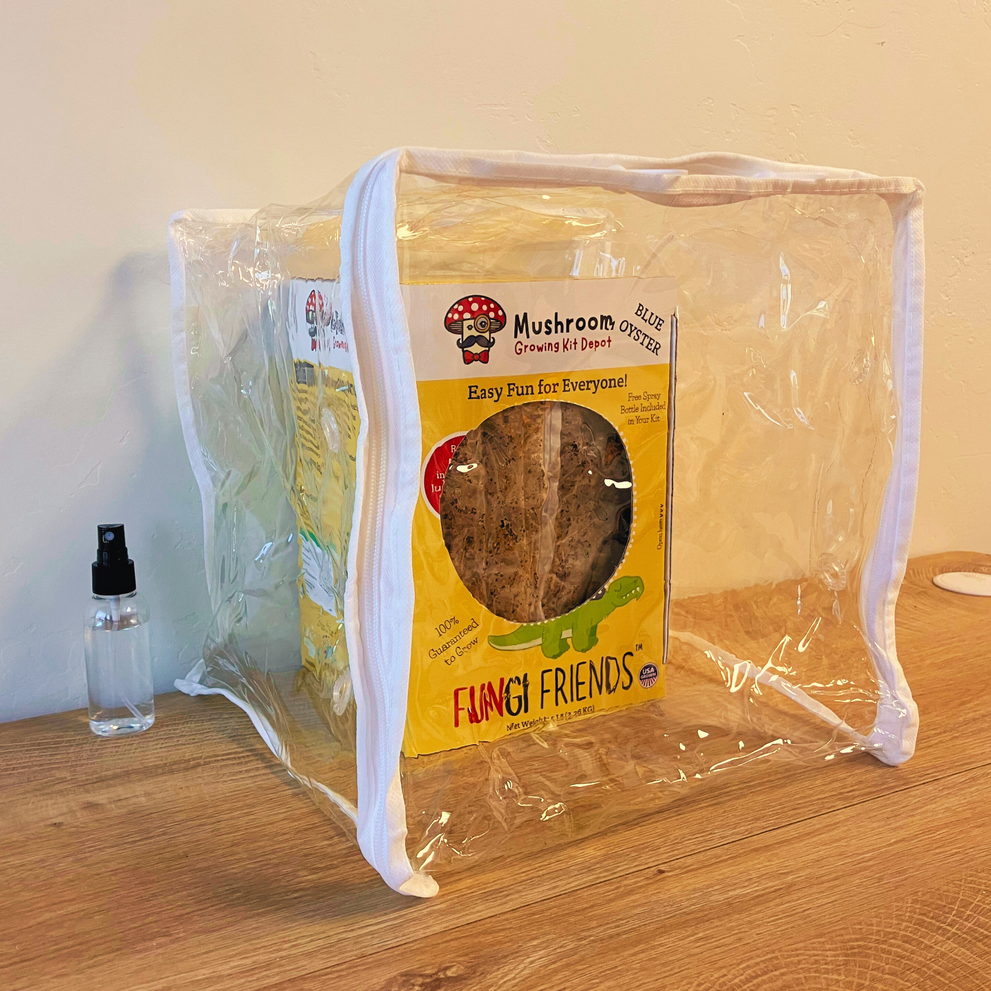 Mushasaurus - Blue Oyster Mushroom Grow Kit - 5 LBS (with box).