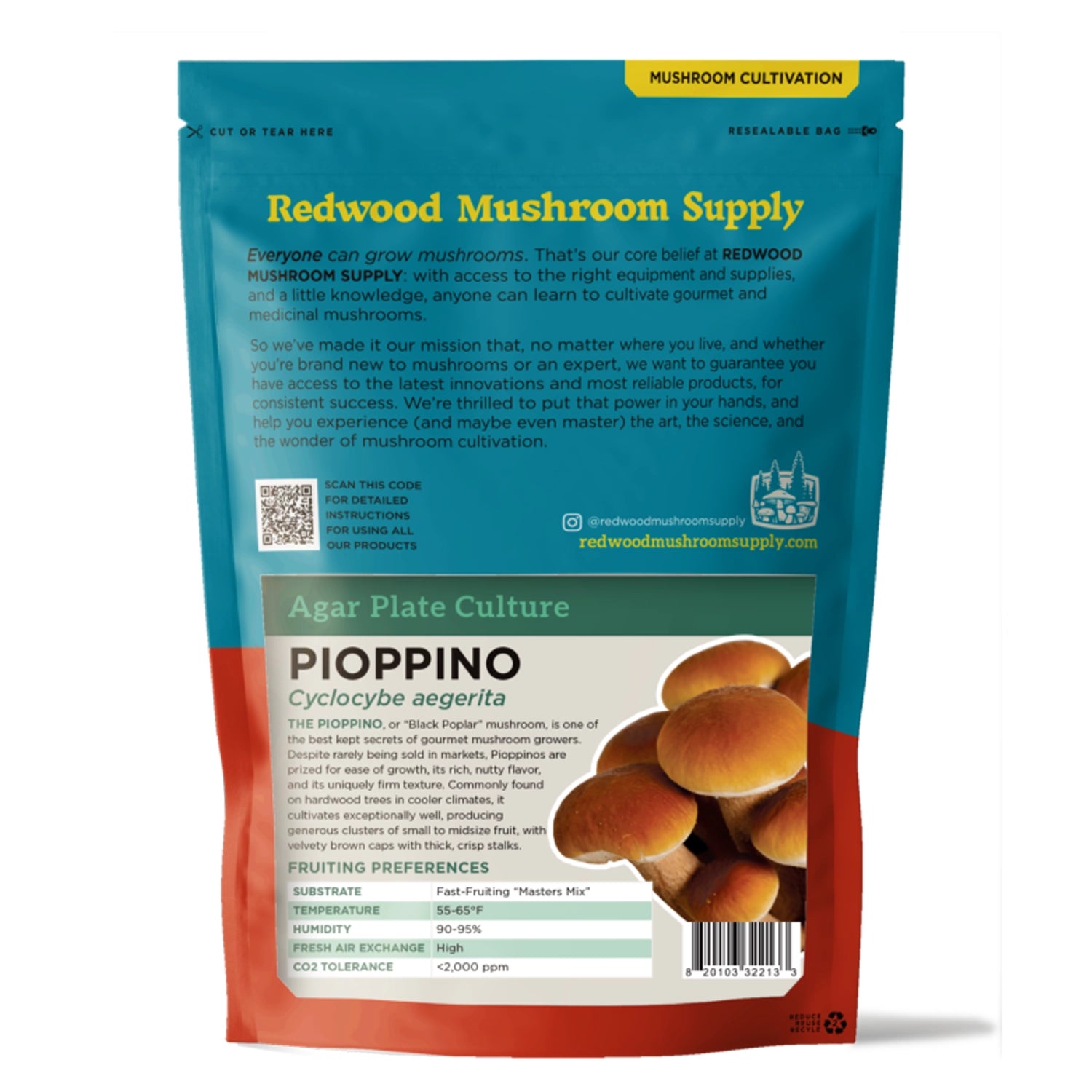 Redwood Mushroom Supply Pioppino Mushroom Plate Culture