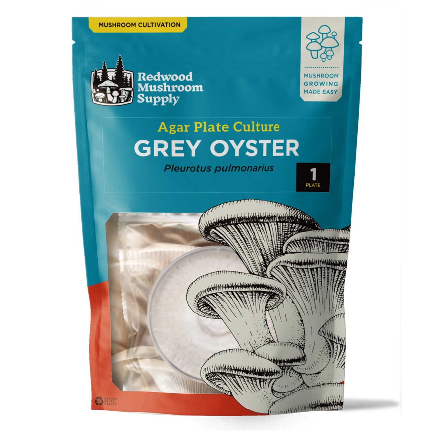 Redwood Mushroom Supply Grey Oyster Mushroom Plate Culture