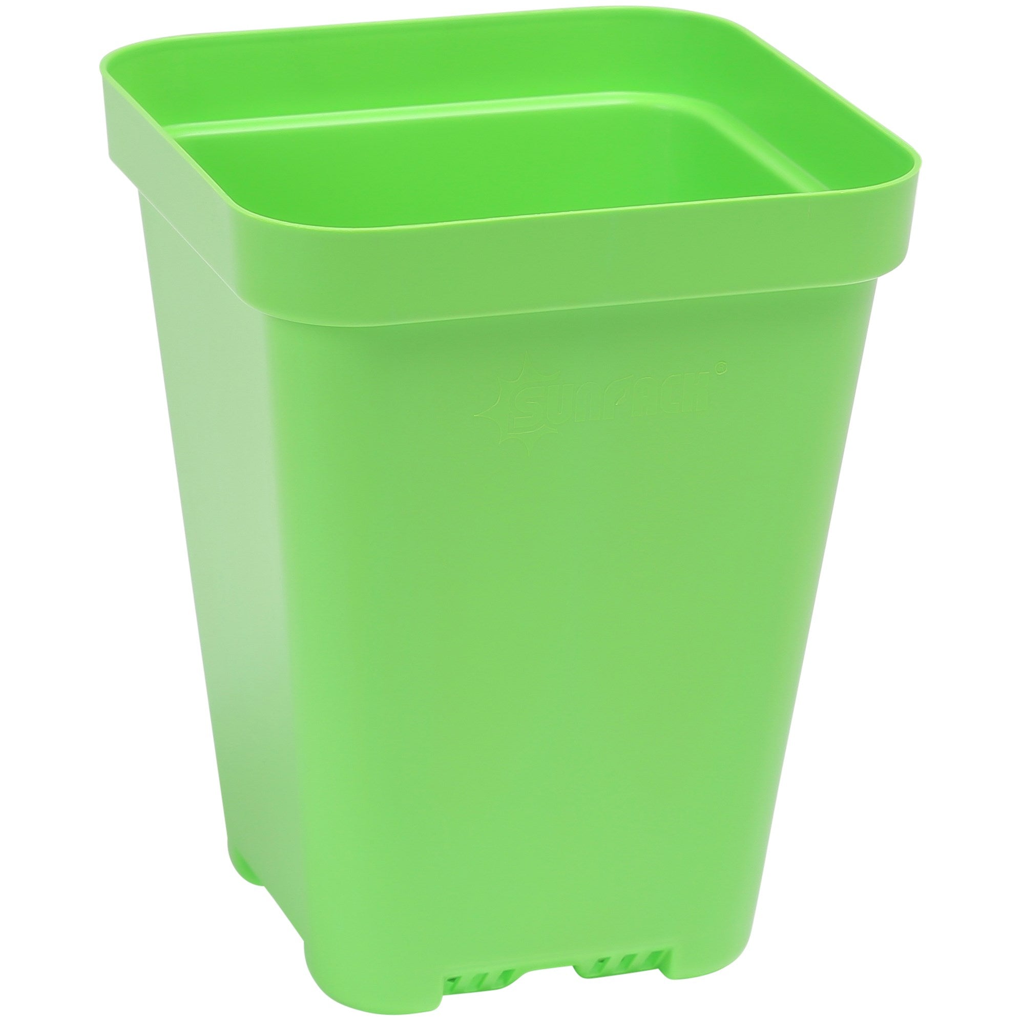food safe plant pots Sunpack Heavy Duty Seed Starting Pots, 3.3", Square, Green, Pack of 180