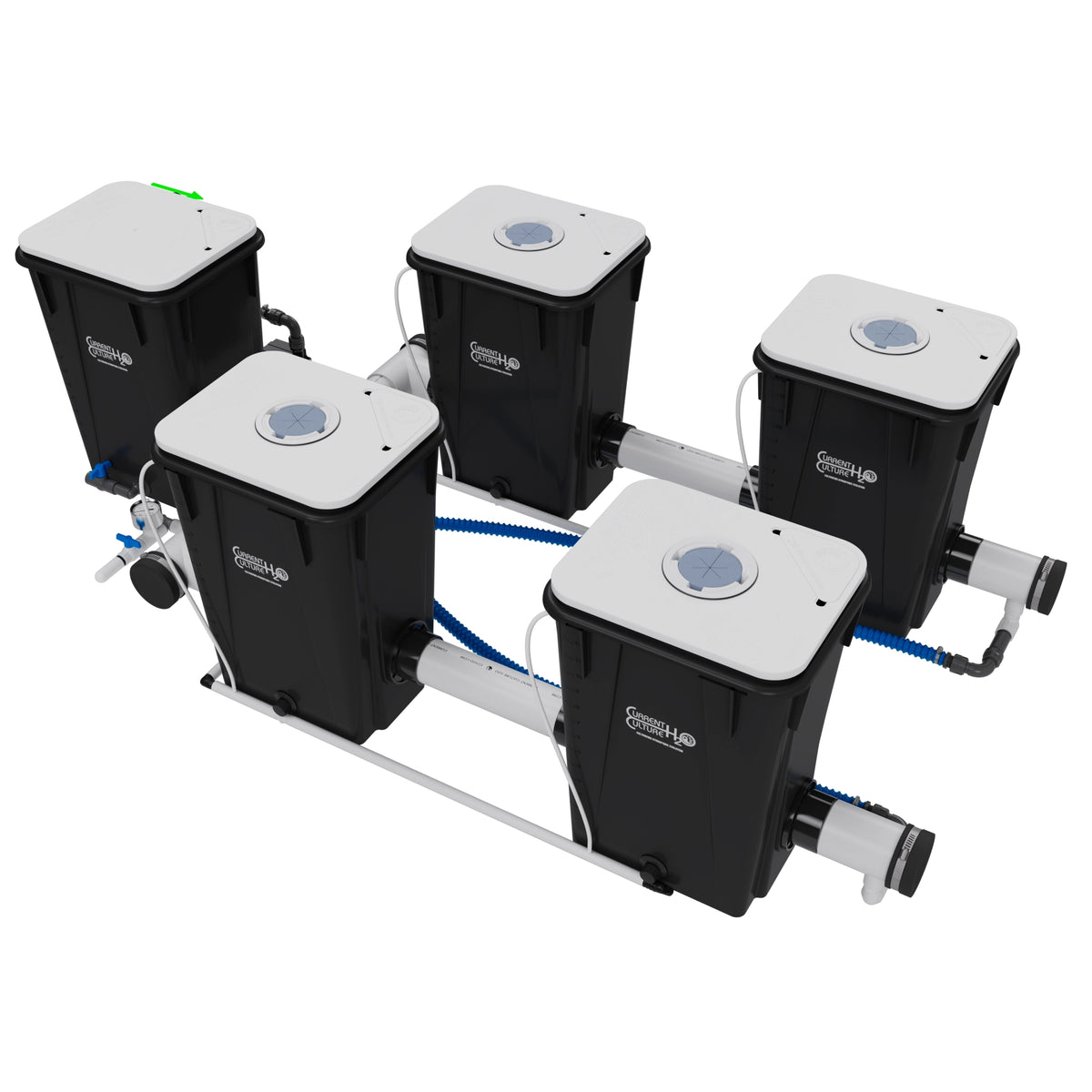 Current Culture Under Current UCXL13 RDWC System, 4-Site, 2-Row