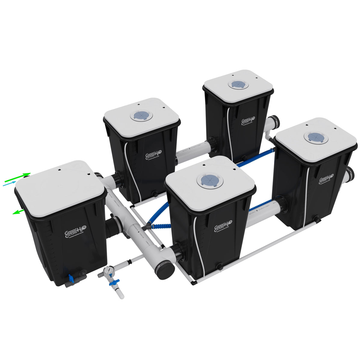 Current Culture Under Current UCXL13 RDWC System, 4-Site, 2-Row