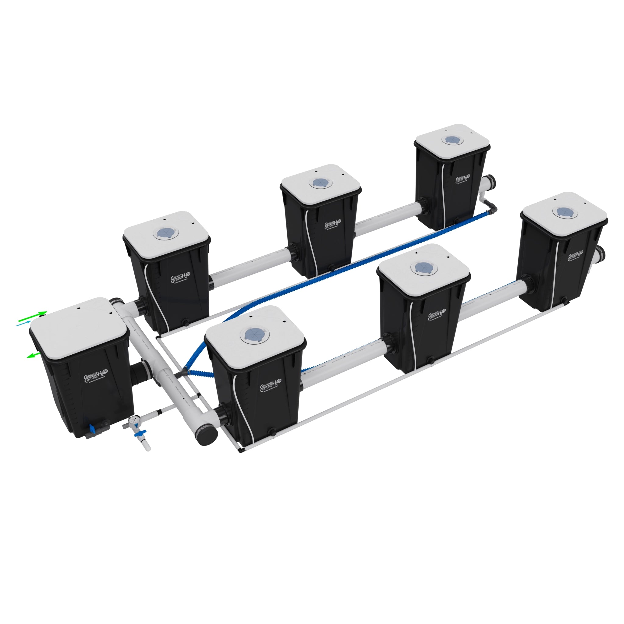 Current Culture Under Current UCXXL13 RDWC System